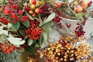 Christmas workshops at Norfolk Flower Workshops