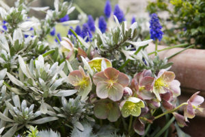 Norfolk Flower Workshops